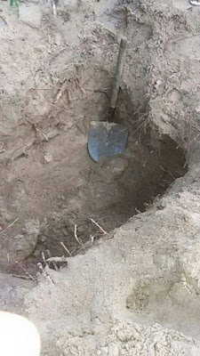 Cova onde foi encontrado o corpo do aposentado