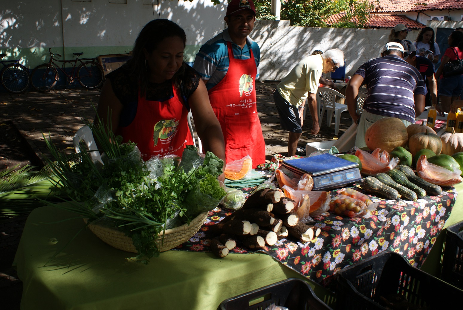 Legumes e verduras produzidos por produtores da comunidade Ave Verde expõem na Feira de Turismo Rural