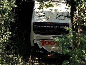 Ônibus da Viação 1001 no abismo após despencar da rodovia