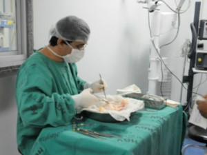 Captação de órgãos para transplante