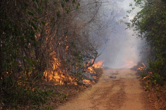 Incêndio de grandes proporções