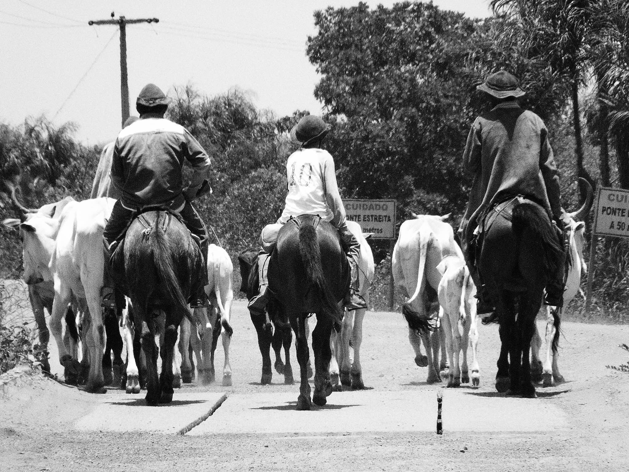 Vaqueiros do Piauí