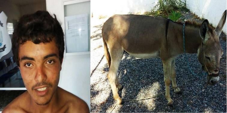 Jovem é preso ao torturar e ferir jumento
