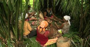 Quebradeiras de coco