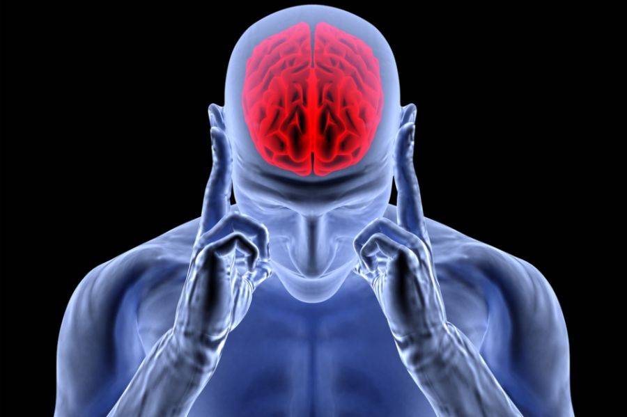 Cerebro