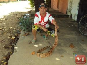 JIbóia assustou os moradores de Valença