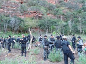 policiais na operação que achou a roça de maconha