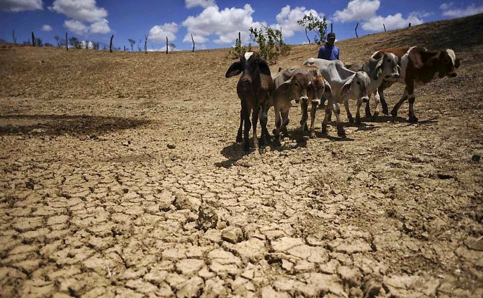 A seca atinge 152 municípios piauienses