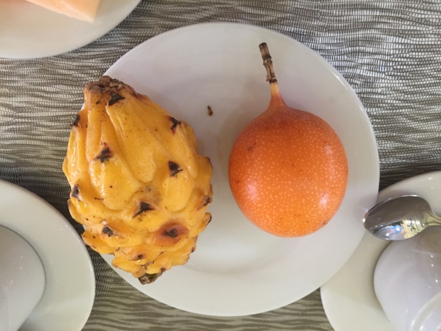 Pitahaya e Granadilla