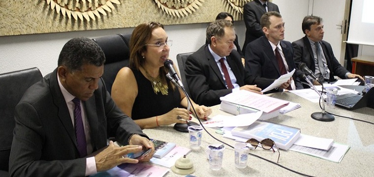 Flora Izabel preside audiência pública