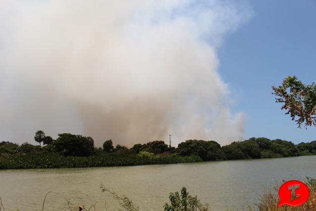 Incêndio atinge mata na Ilha Grande de Santa Izabel, em Parnaíba