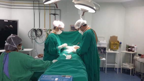 HGV volta a fazer cirurgias bariátricas