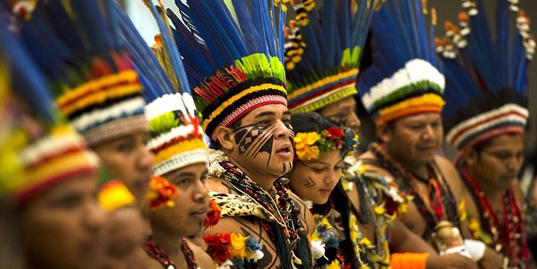 Povos indígenas do Brasil
