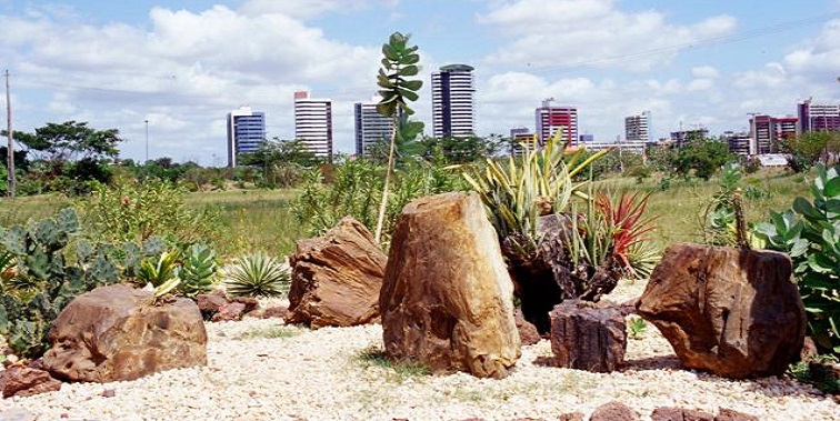 Parque Floresta Fóssil