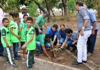 Projeto Piauí Mais Verde foi implantado na cidade