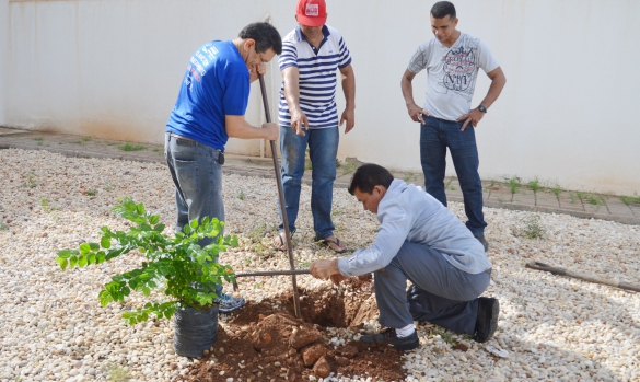 Dr. Benjamim e colaboradores plantam árvores no Ceir