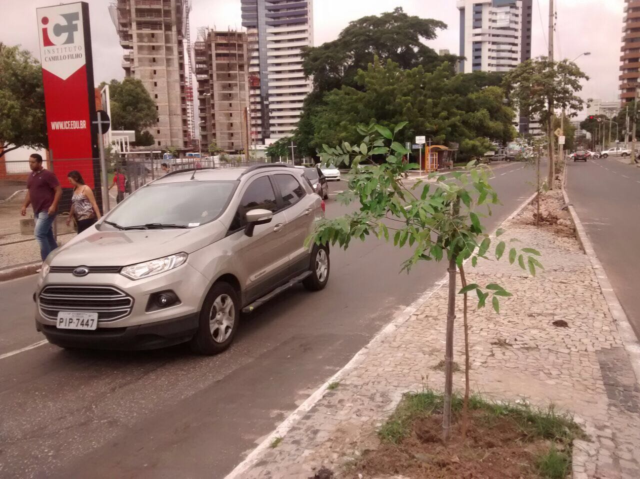Plantio de árvores na avenida Joquei Clube