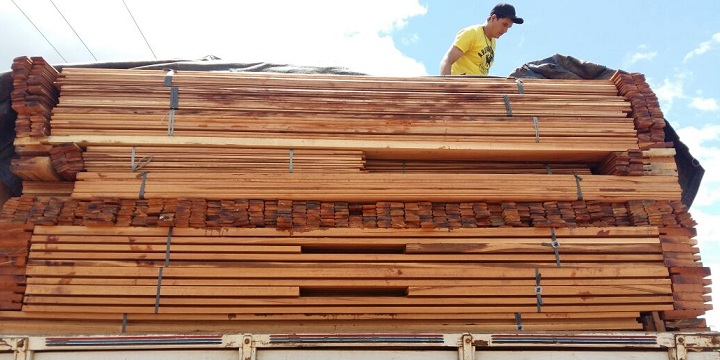 Carga ilegal de madeira apreendida em Buriti dos Lopes