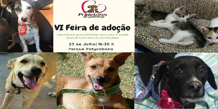 Animais disponíveis para adoção