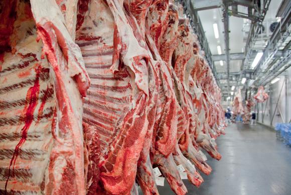 O Brasil tem hoje 215 milhões de cabeças de gado e produz 9,5 milhões de toneladas de carne bovina