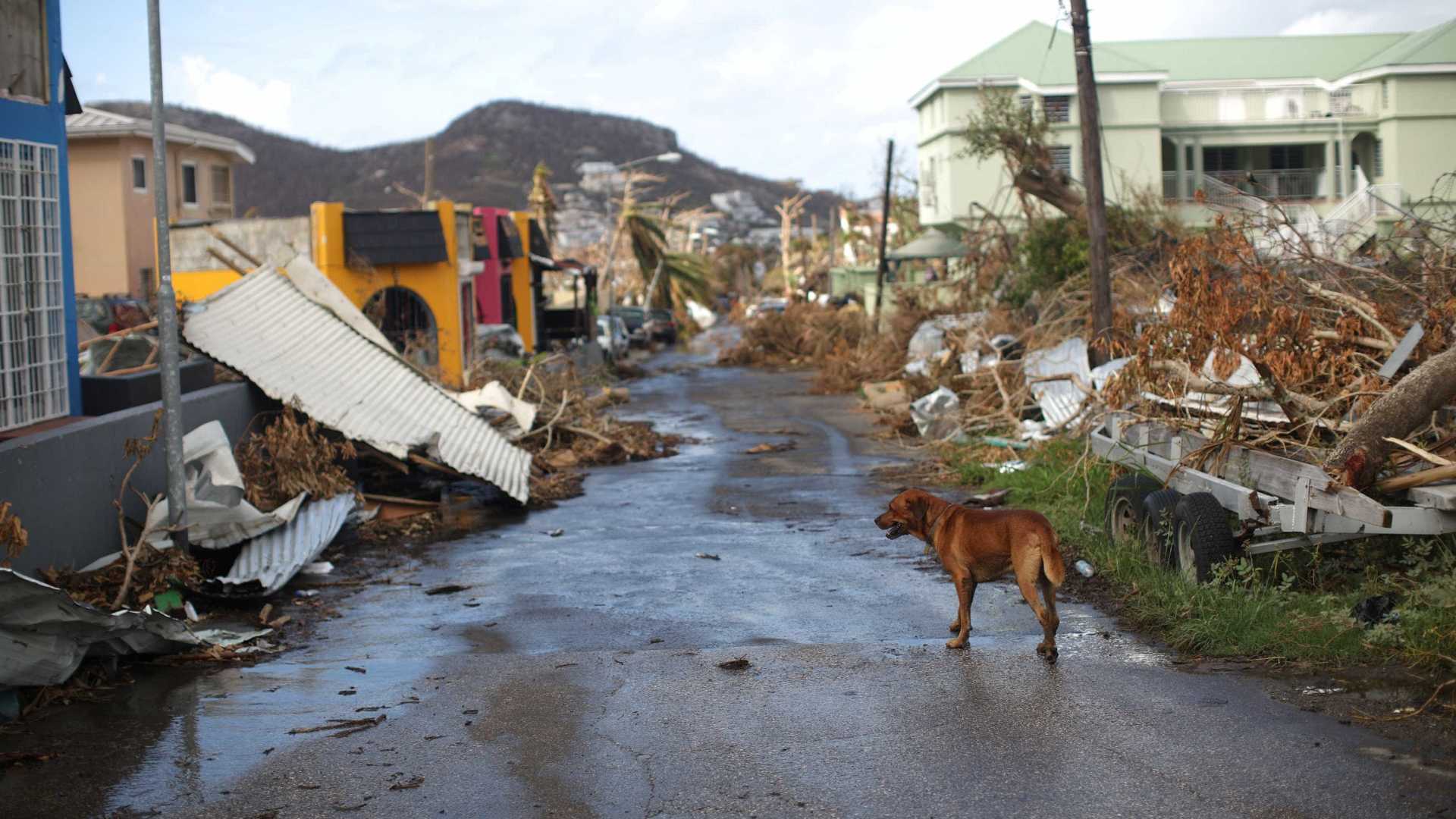 destruição após passagem do furacão Irma na ilha de Saint Marteen