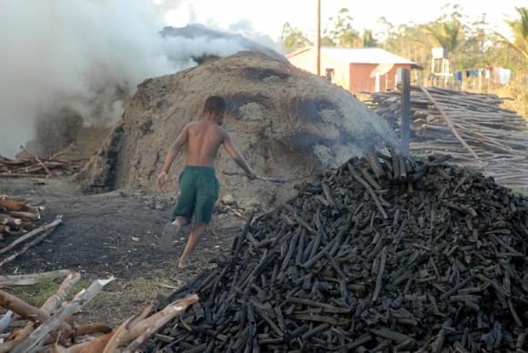 Produção de carvão vegetal caiu 31,7% no ano passado, diz pesquisa divulgada pelo IBGE