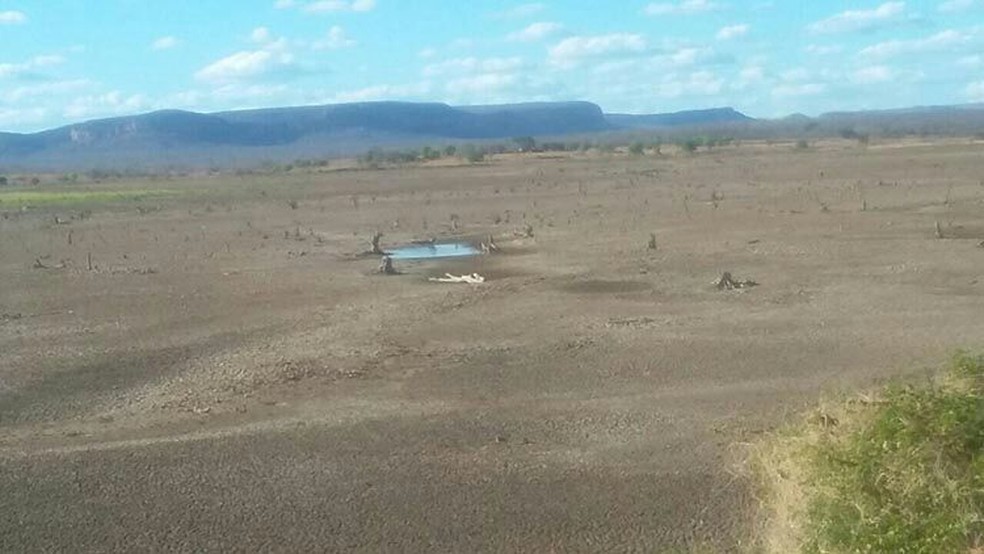 Seca: o que sobrou da barragem Vereda da Cruz, em Curimatá do Piauí