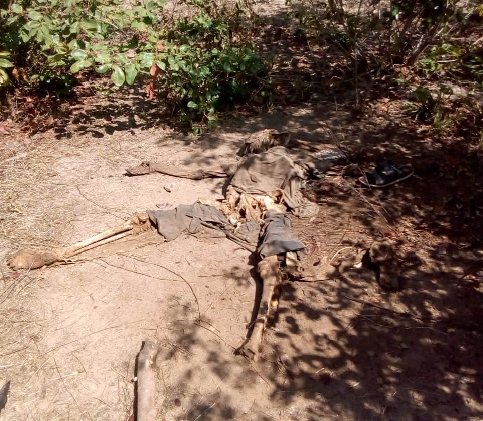 Moradores de Batalha encontram ossada humana em matagal - Polícia