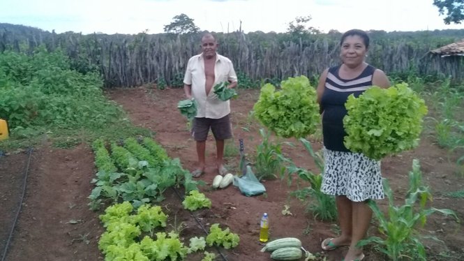 Programa de fortalecimento da agricultura familiar