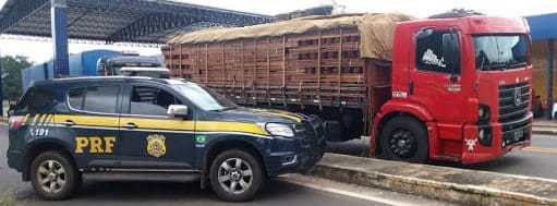 PRF apreende 49 toneladas de madeira ilegal em Floriano