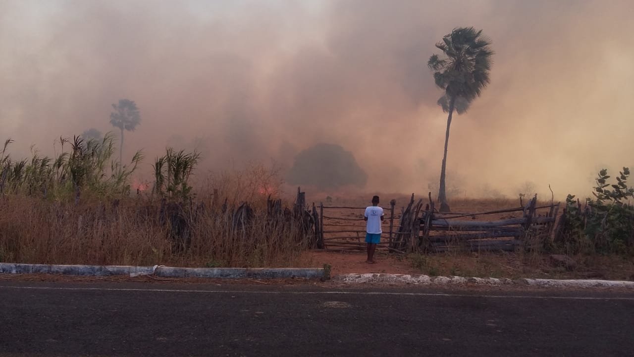 Incêndio de grandes proporções mata animais e destrói lavouras no interior do Piauí
