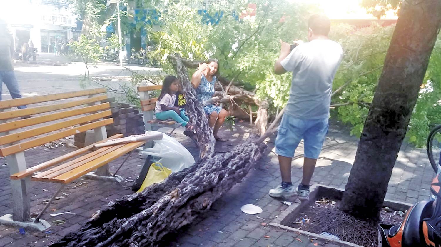 Árvore cai sobre mulher e duas crianças na Praça Rio Branco