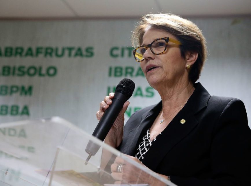 Ministra da Agricultura, Tereza Cristina (DEM-MS)