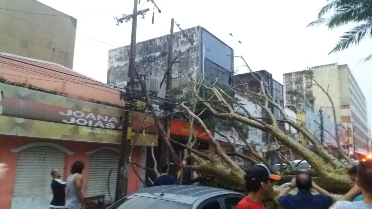 Àrvore caiu sobre a rede de energia no Centro