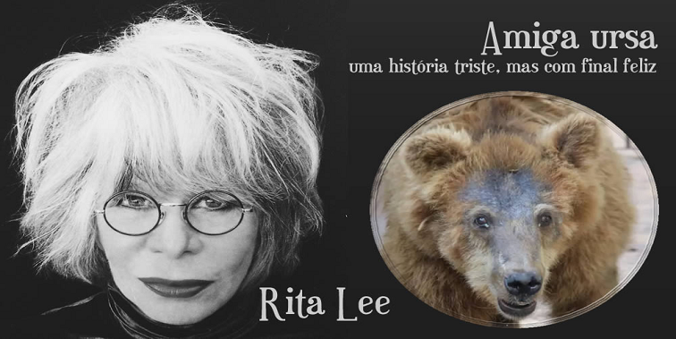 Rita Lee fala sobre respeito aos animais em seu novo livro, com a história da ursinha Rowena