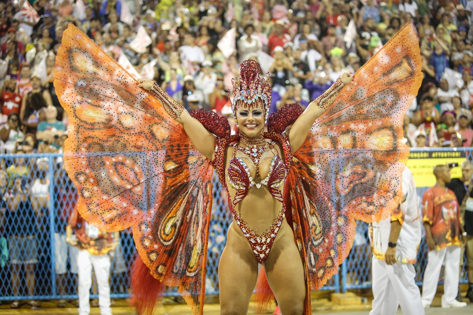 Вивиан Араужо карнавал Рио