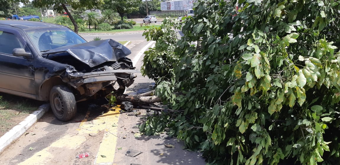 Motorista bate em carro e derruba árvore em Teresina