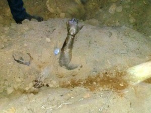 Cadáver com braço de fora da cova raza: mulher pode ter sido enterrada ainda viva