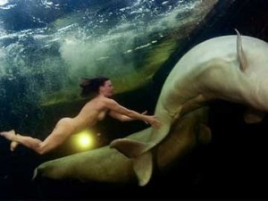 Foto foi publicado em um site da Australia