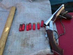 Arma e munição apreendidas em poder dos ciganos
