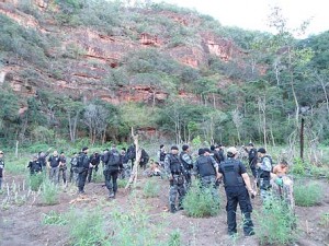 Policiais fazem operação e acham plantação de maconha em São Miguel da Baixa Grande, o Piauí