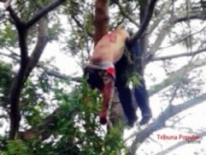 O corpo foi parar em cima da árvore com a violência do acidente no Paraguai