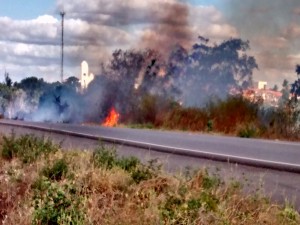 Fogo começou nas margens da BR-407 em Geminiano