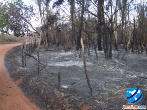Incêndio destrói vegetação na região de Esperantina