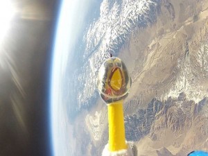 Galinha de borracha no espaço: experimento atingiu a estratosfera para que pesquisadores pudessem analisar os efeitos da radiação solar