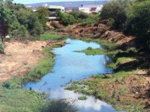 Rio Guaribas, em Picos