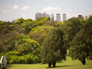 Áreas verdes poderão ser obrigatórias em plano diretor municipal