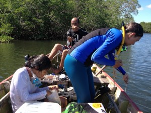 Biologos monitoram os peixes-boi no litoral do Piauí