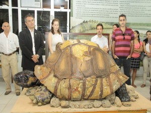 Jabuti gigante viveu a cerca de 8 milhões de anos
