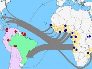 Mapa mostra a rota da doença saindo da África